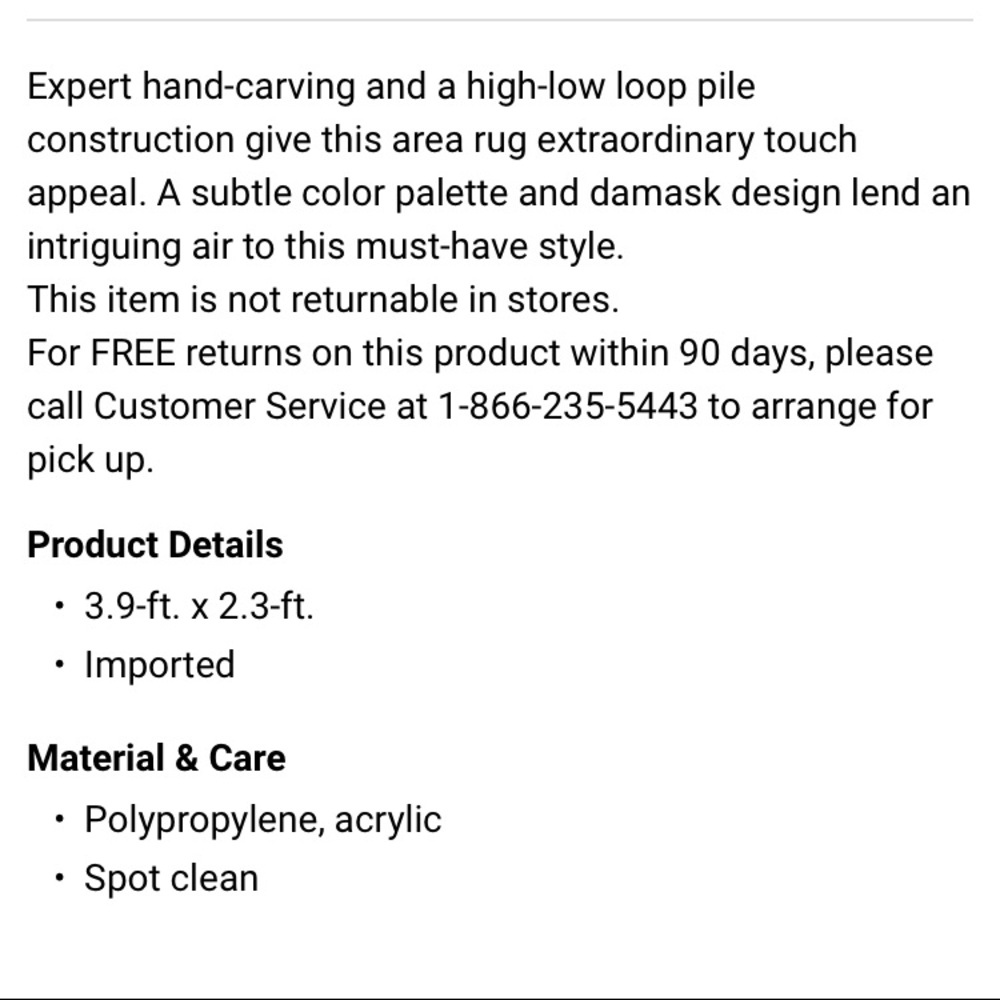 Damask Rug 2’ x 3’ - Picture 2 of 2